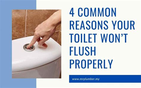 Toilet won't flush all the way. Things To Know About Toilet won't flush all the way. 
